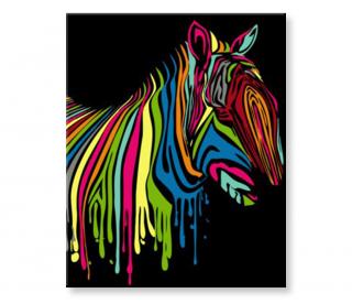 Malování podle čísel - Barevná zebra
