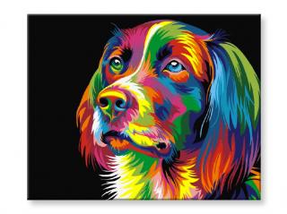 Malování podle čísel - Barevný pes