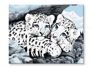 Malování podle čísel - Bílí tygři