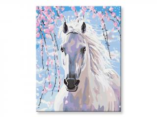 Malování podle čísel - Bílý kůň