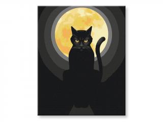 Malování podle čísel - Černá kočka