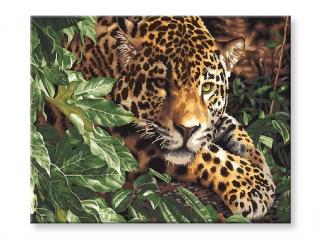 Malování podle čísel - Gepard