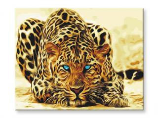 Malování podle čísel - Jaguar