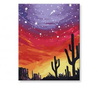 Malování podle čísel - Kaktus v poušti