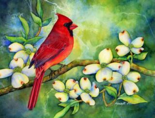 Malování podle čísel - Kardinál červený mezi květy