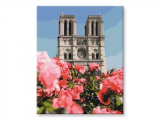 Malování podle čísel - Katedrála Notre Dame v Paříži