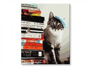 Malování podle čísel - Kočka a knihy