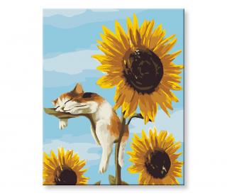 Malování podle čísel - Kočka a slunečnice