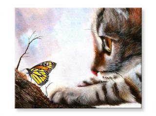 Malování podle čísel - Kočka s motýlem