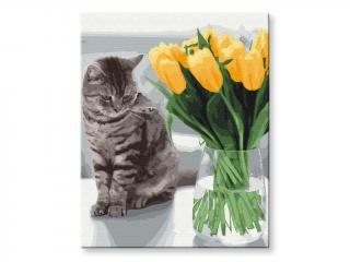 Malování podle čísel - Kočka s tulipány
