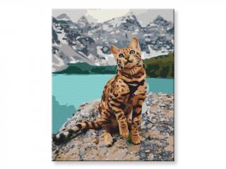 Malování podle čísel - Kočka v horách