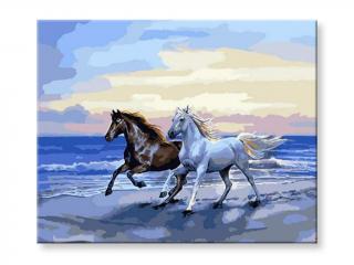 Malování podle čísel - Koně na pobřeží