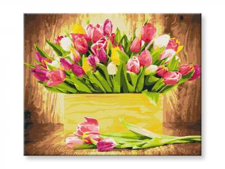 Malování podle čísel - Košík tulipánů