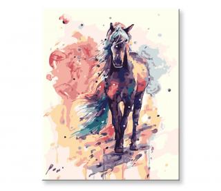 Malování podle čísel - Kůň v barvách