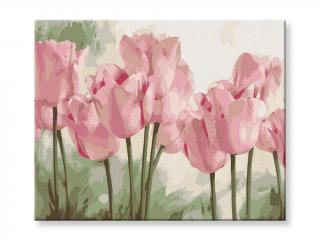 Malování podle čísel - Květy tulipánů