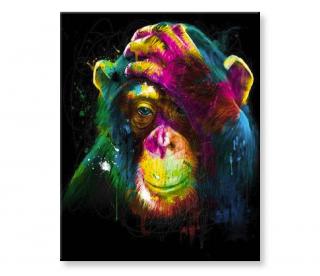 Malování podle čísel - Opička