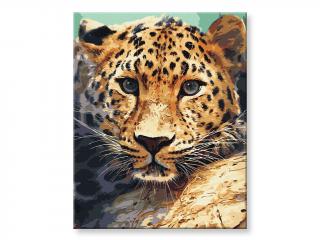 Malování podle čísel - Portrét leoparda