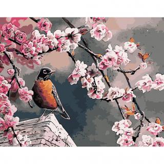 Malování podle čísel - Ptáček mezi jarními květy