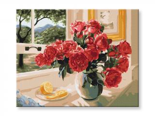 Malování podle čísel - Růže v okně