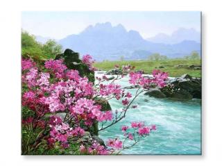 Malování podle čísel - Růžové květy u řeky