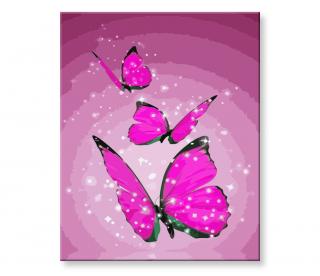 Malování podle čísel - Růžový motýl