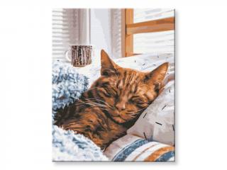 Malování podle čísel - Spící kočka