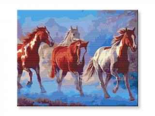Malování podle čísel - Stádo koní v horách