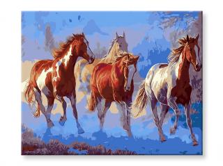 Malování podle čísel - Stádo koní