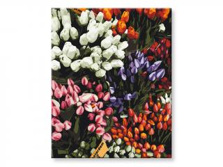 Malování podle čísel - Tulipánové květy