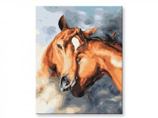 Malování podle čísel - Zamilované koně