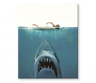 Malování podle čísel - Žralok útočí