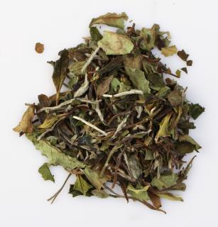 Bílý čaj China Fujian Fuding Pai Mu Tan BIO 100g