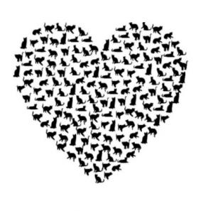 Kočičí srdce - plastová šablona 144 (29x29cm) Rozměr: G 29x29cm