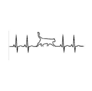 Kočka EKG - plastová šablona 110 Rozměr: B 14,5x14,5cm