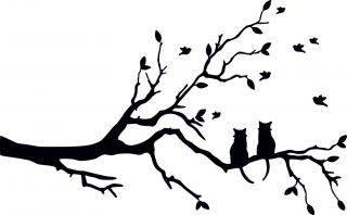 Kočky na stromě - plastová šablona 354 Rozměr: C 14,5x14,5cm