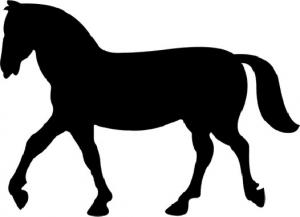 Kůň - plastová šablona 055 Rozměr: A 6,5x9cm