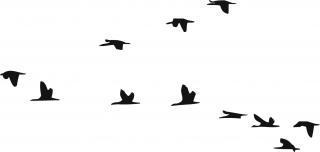 Letící ptáci - plastová šablona 267 Rozměr: B 14,5x14,5cm
