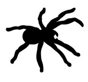 Pavouk - plastová šablona 085 Rozměr: A 6,5x9cm