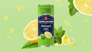 Sanpellegrino limone & menta 300 ml