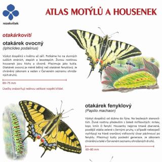 Atlas motýlů a housenek