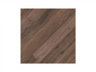 Eterna Project Loc Vinyl Skorice 0,33