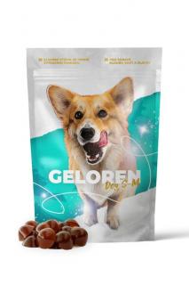 Geloren pro malé a střední psy | Geloren DOG S-M  kloubní výživa pro psy (60 ks)