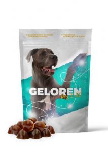 Geloren pro velké psy | Geloren DOG L-XL  kloubní výživa pro psy (60 ks)