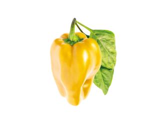 Náplň pro chytré květináče Click & Grow  3 ks - sladká žlutá paprika