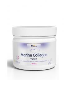 Rybí kolagen Marine collagen matrix