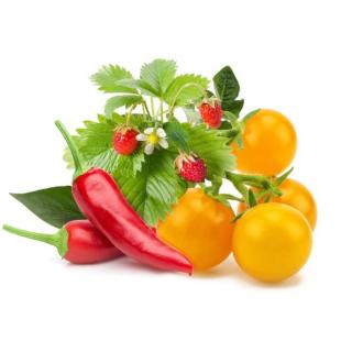 Sada 9 ks kapslí pro chytré květináče Click & Grow - mix ovoce a zeleniny