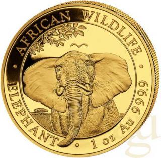 Investiční zlatá mince somálský slon 2021-African Wildlife 1 Oz