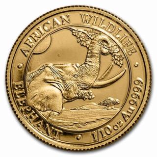 Investiční zlatá mince somálský slon 2023-African Wildlife 1/10 Oz