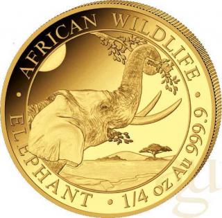 Investiční zlatá mince somálský slon 2023-African Wildlife 1/4 Oz