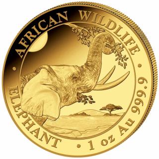 Investiční zlatá mince somálský slon 2023-African Wildlife 1 Oz